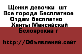 Щенки девочки 4шт - Все города Бесплатное » Отдам бесплатно   . Ханты-Мансийский,Белоярский г.